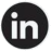 AnamoLABS linkedin logo